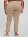 GAP Washwell Jeans