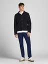 Jack & Jones Stollie Trousers