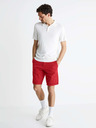 Celio Bochinobm Short pants