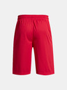 Under Armour UA Perimetr 11'' Short pants