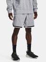 Under Armour Curry Fleece 9'' Short pants