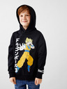 name it Joch Dragonball Kids Sweatshirt