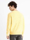 Celio Dexter Sweater