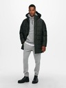 ONLY & SONS Carl Coat