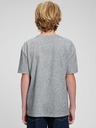 GAP Teen Kids T-shirt