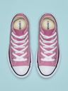 Converse Chuck Taylor All Star Kids Sneakers