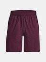 Under Armour UA Tech Vent Short pants