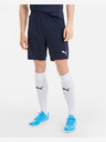 Puma teamGOAL 23 Short pants